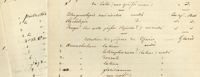 Notes manuscrites et inventaire des fossiles achetés par Victor Thiollière à la vente du Baron Ponsort (1954).