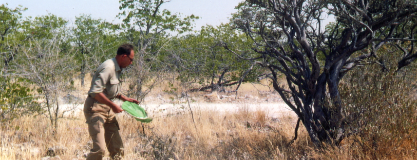 Vue de Jean Poulard réalisant une collecte d'insectes en Namibie (1978).