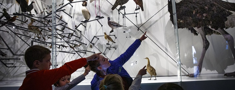 Activités famille musée des Confluences Lyon