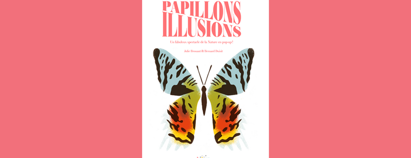 Papillons illusions