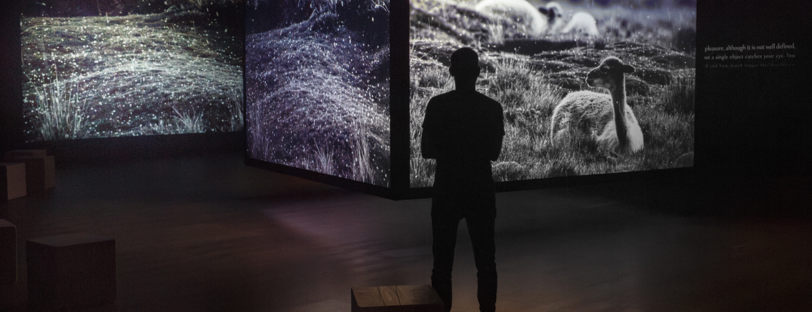 Terra incognita