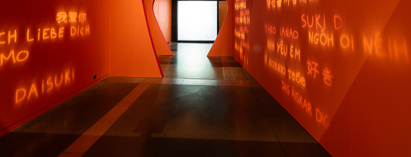 Exposition À nos amours