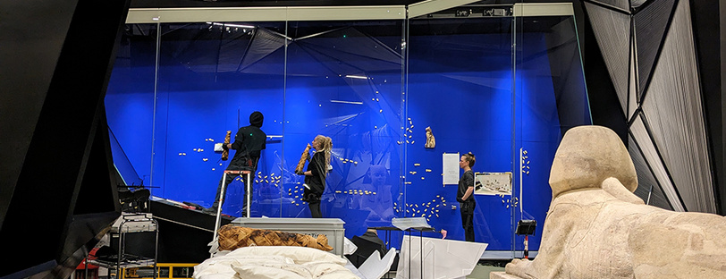 Exposition Espèces, la maille du vivant