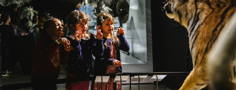 Les activités pour les moins de 6 ans - éducation populaire
