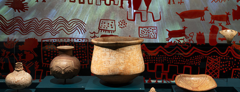 Exposition Amazonies