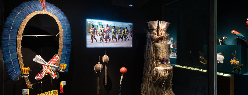Exposition Amazonies