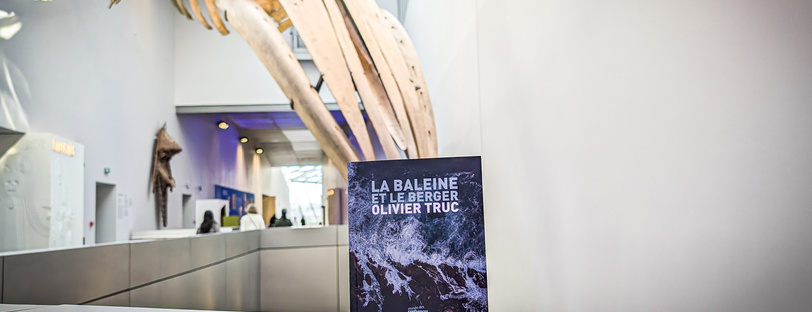 couverture du livre La baleine et le berger d'Olivier Truc dans le collection Récit d'objet