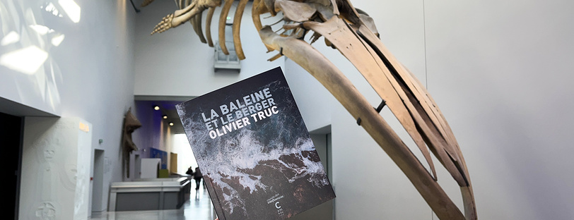 Couverture du livre La baleine et le berger d'Olivier Truc