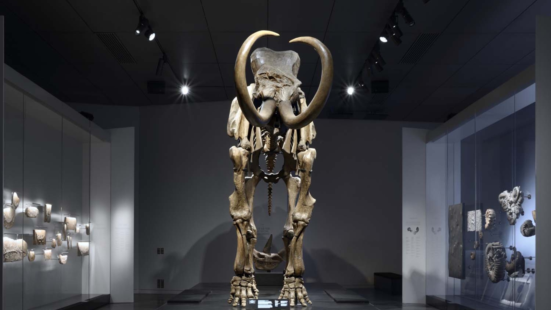 Exposition Origines, les récits du monde
