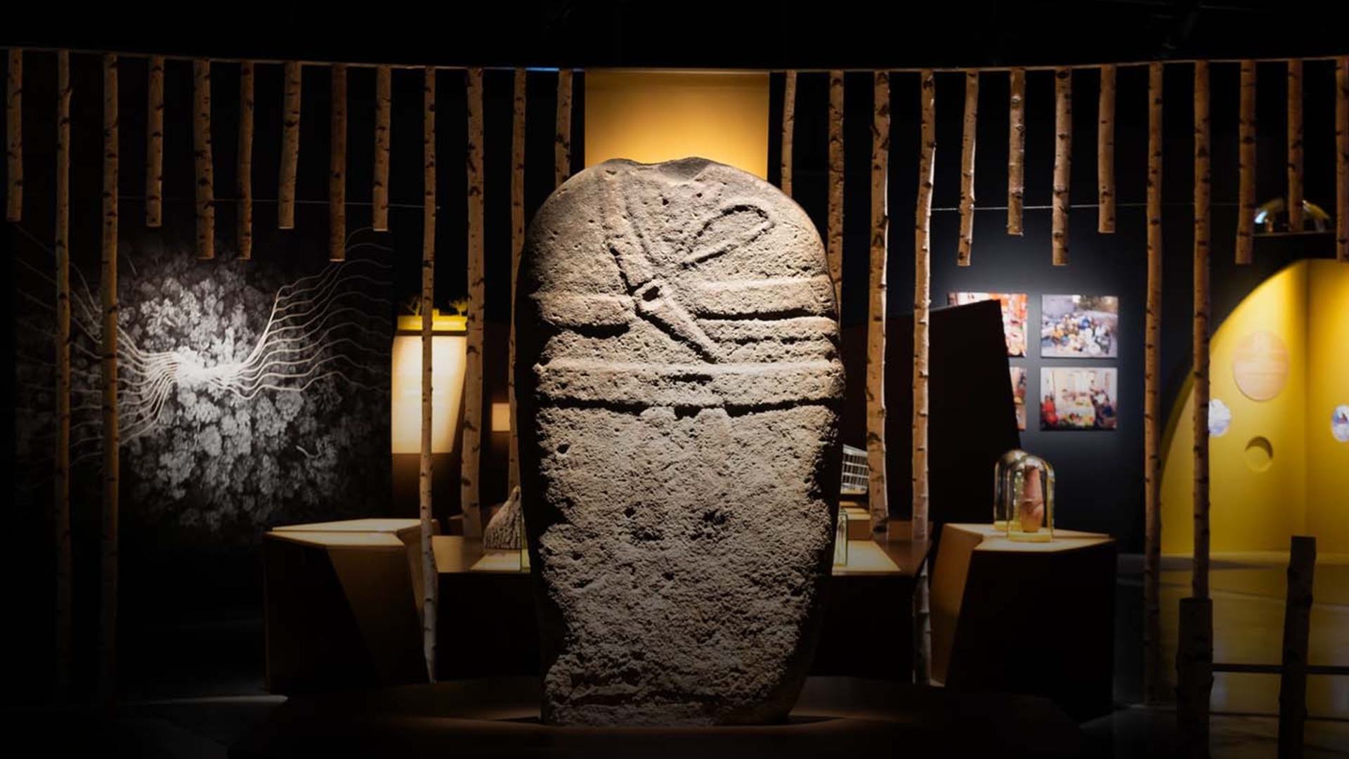 Exposition La Terre en héritage, du Néolithique à nous