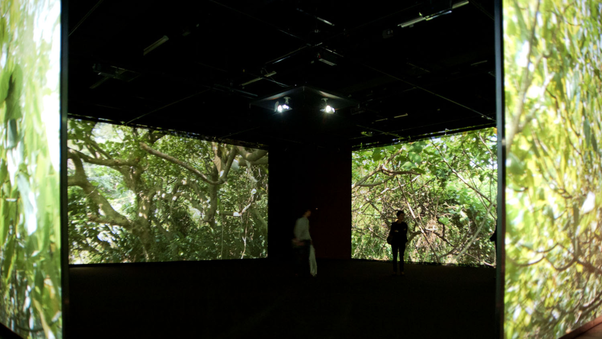 Exposition Before Memory