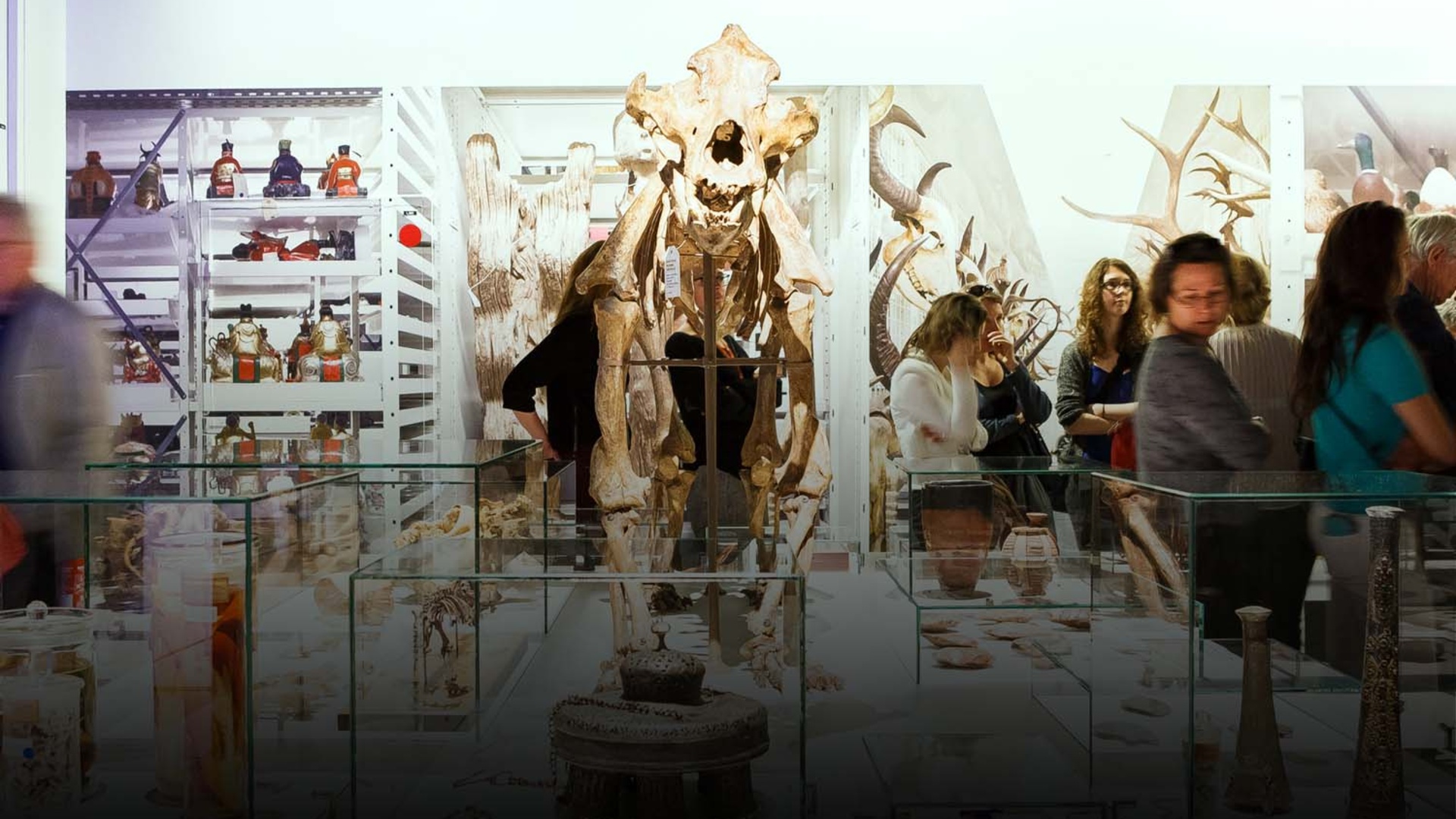 Exposition Carnets de collections