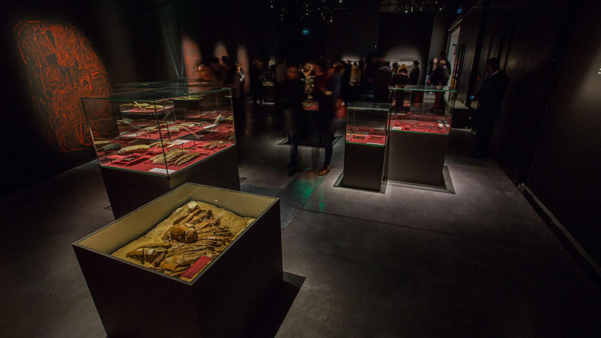 Exposition Signes de richesse, inégalités au Néolithique