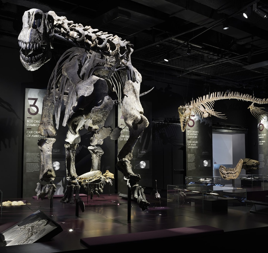Exposition Origines, les récits du monde