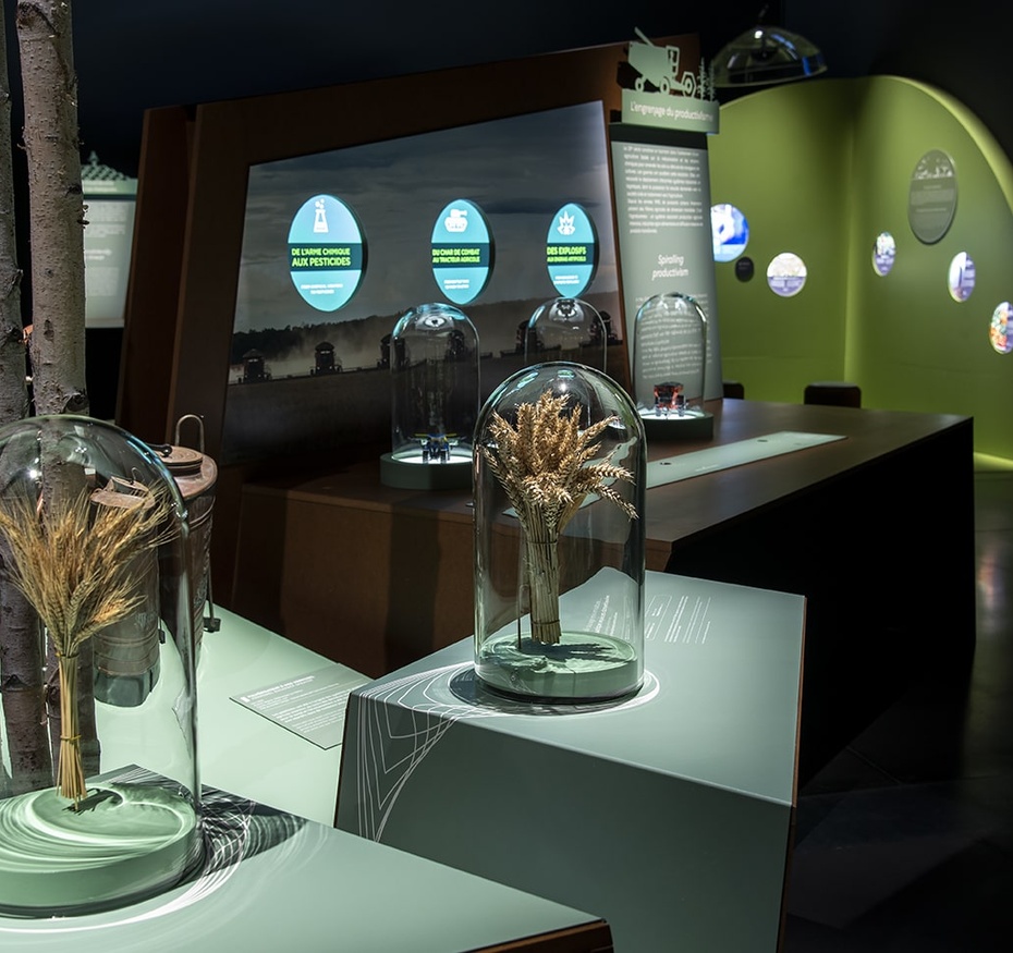 Exposition La Terre en héritage, du Néolithique à nous