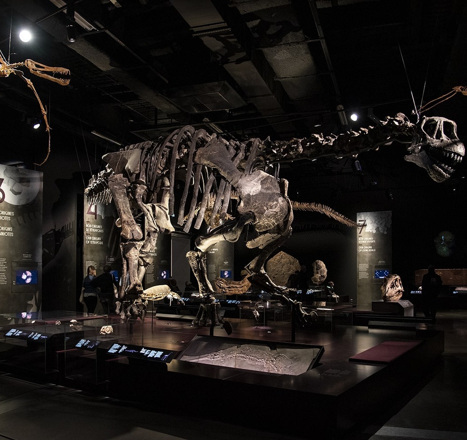 Exposition Origines, les récits du monde
