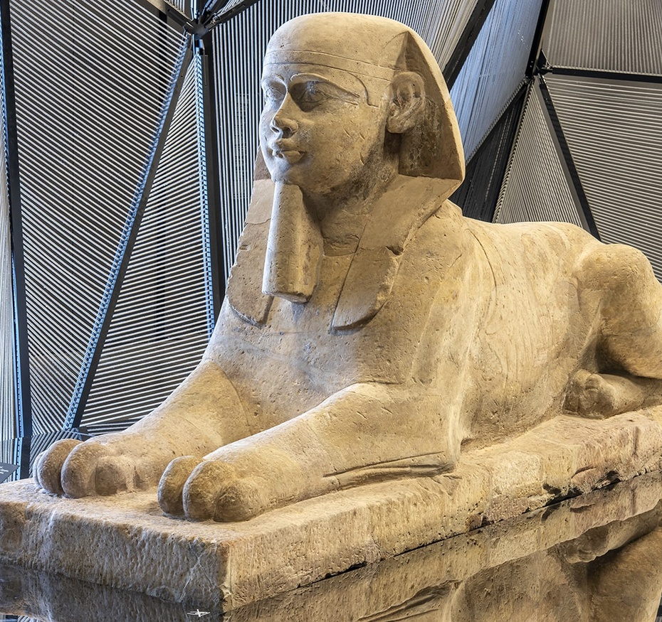 Exposition Espèces, la maille du vivant