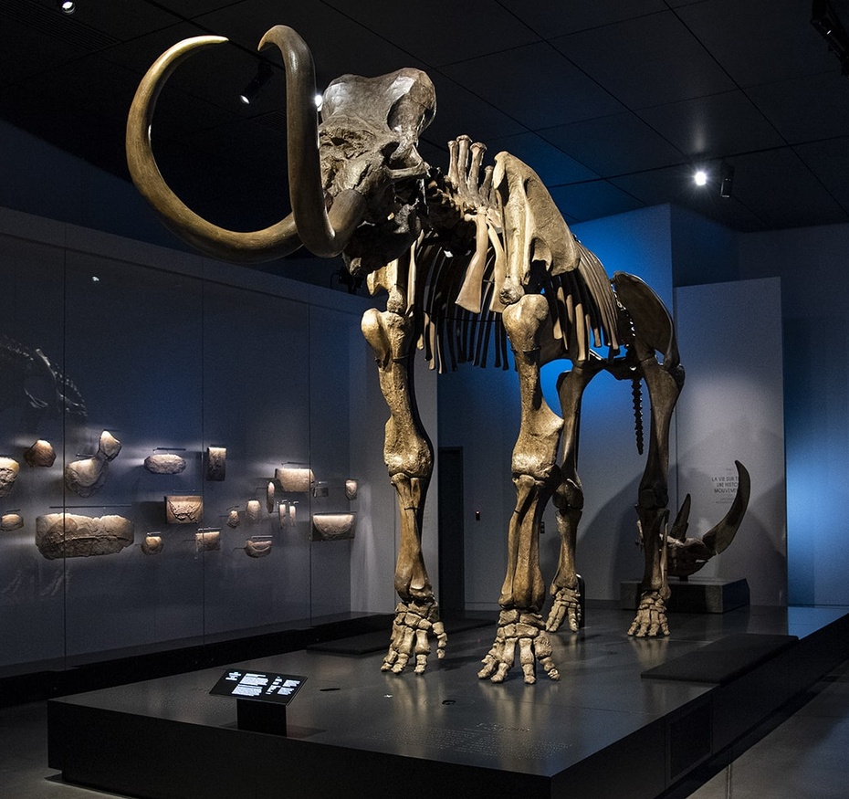 Exposition Origines, les récits du monde