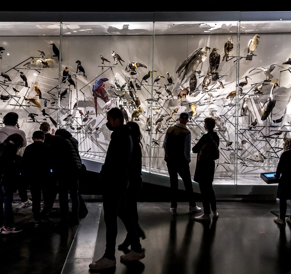 Exposition Espèces, la maille du vivant