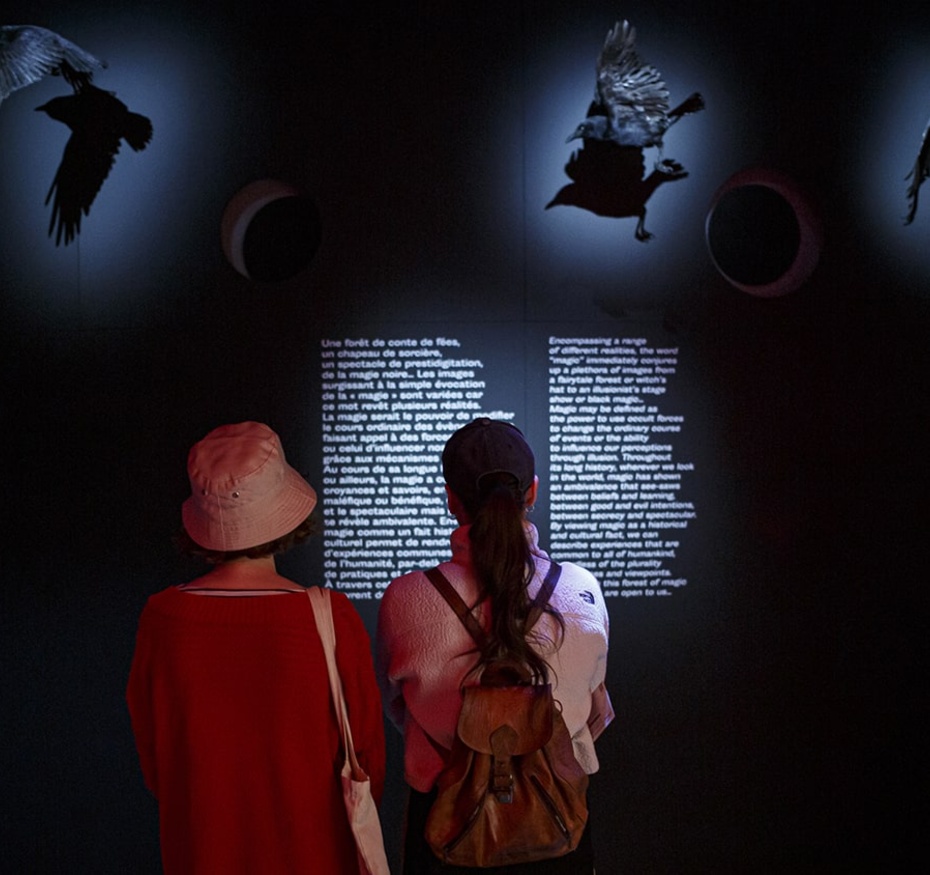 Exposition Magique