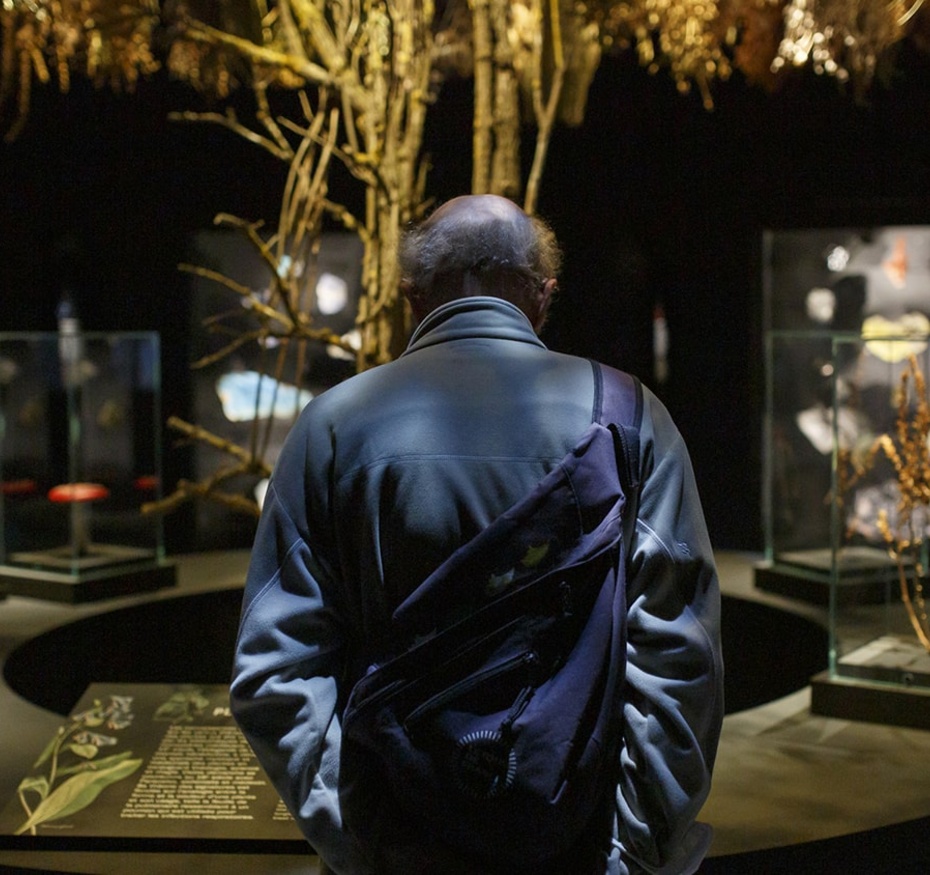 Exposition Magique