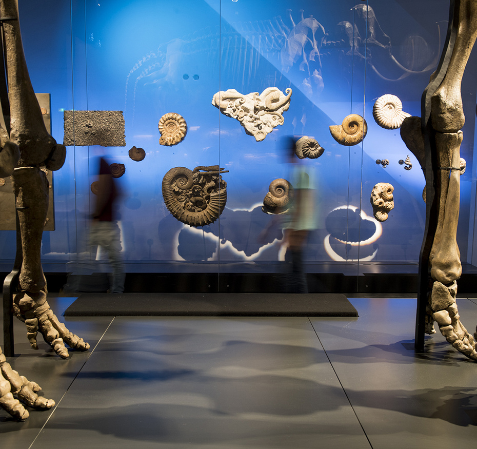 Scénographie de l'exposition permanente Origines, les récits du monde