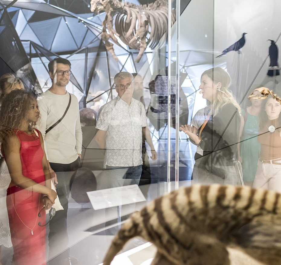Exposition Espèces, la maille du vivant