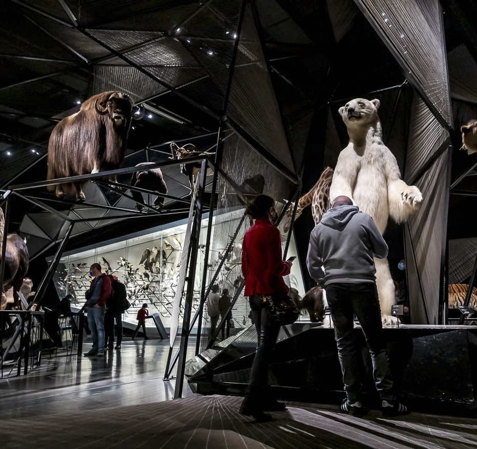 Exposition Espèces, la maille du vivant