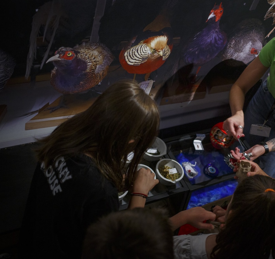 Atelier Sorciers Sorcières