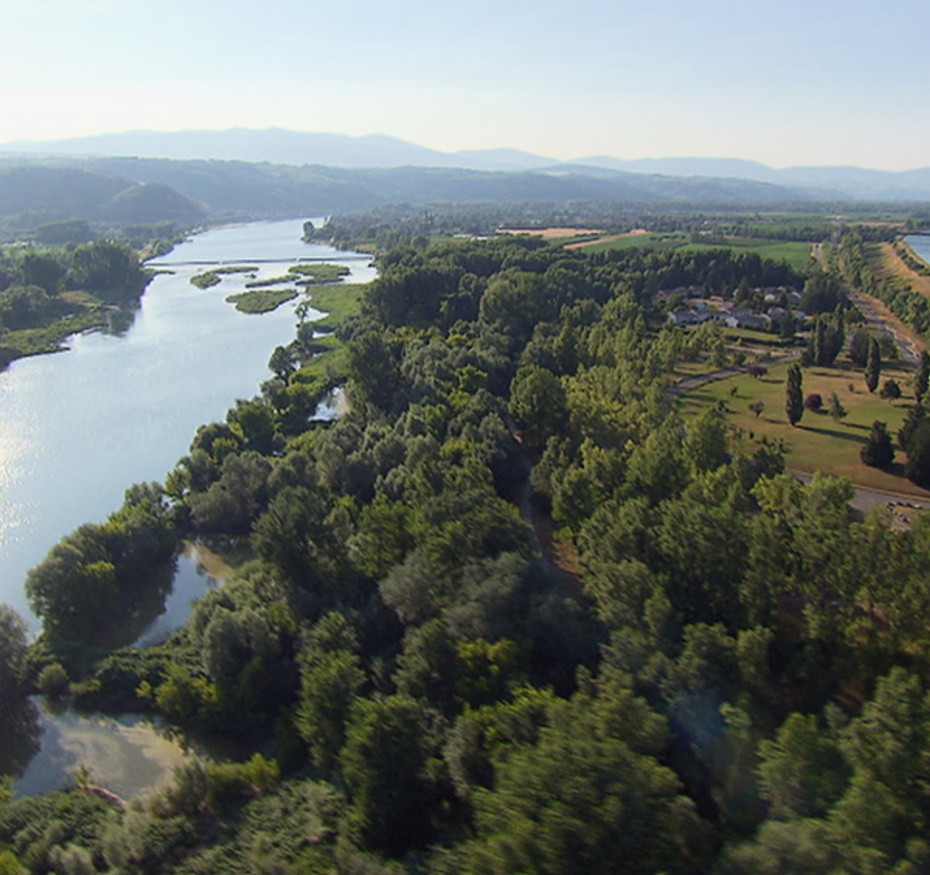 Le Rhône, la renaissance d’un fl euve