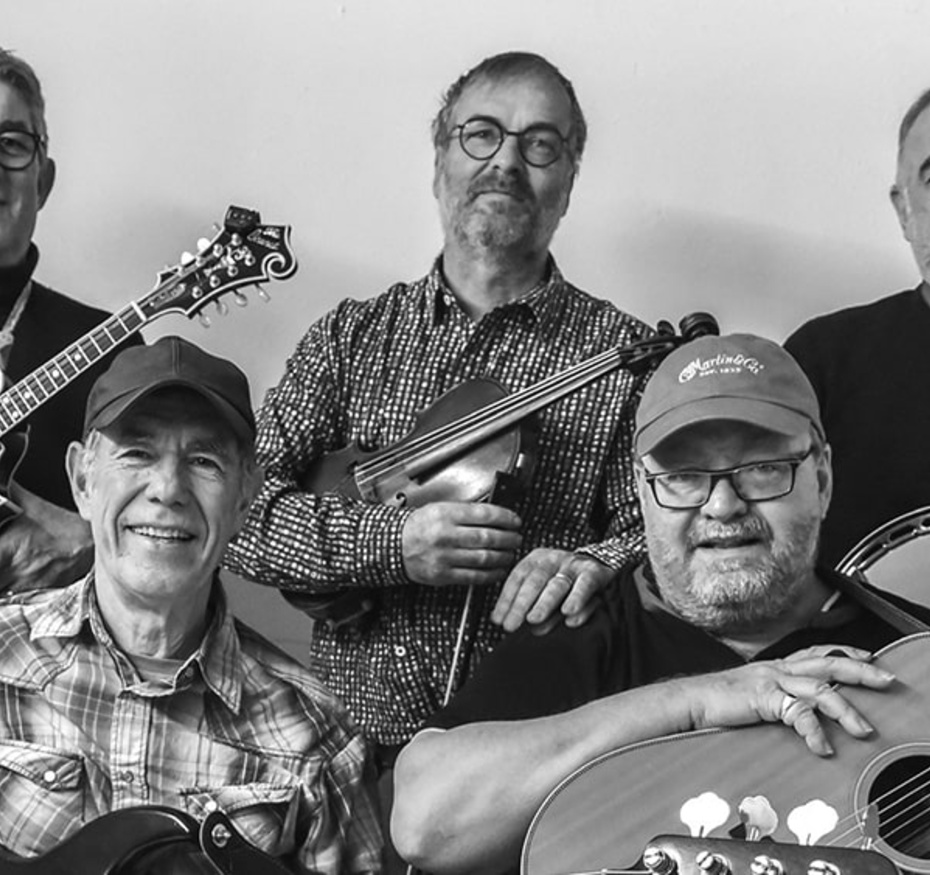 The Strings Fellows