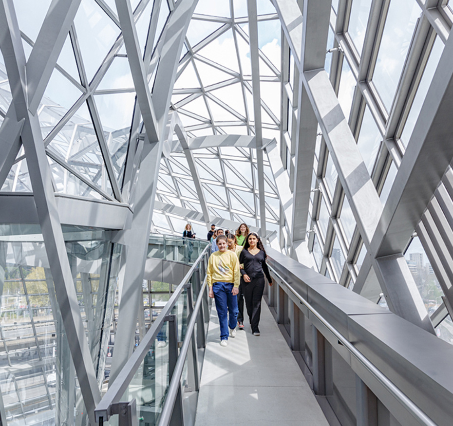 Passerelle musée des Confluences