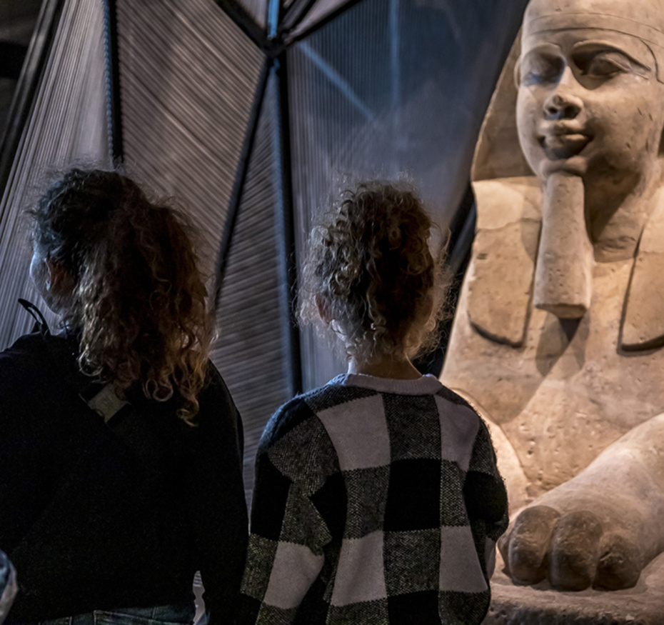 Exposition Espèces, la maille du vivant - visite scolaire