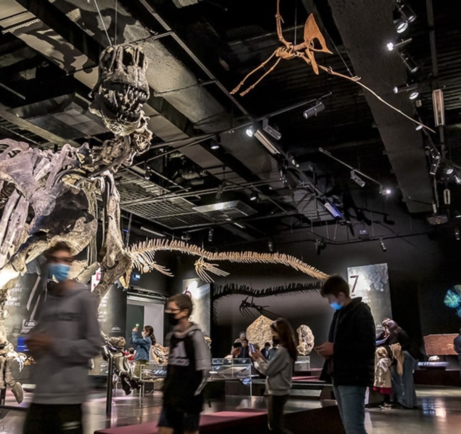 rencontre Quels musées pour aujourd'hui ?