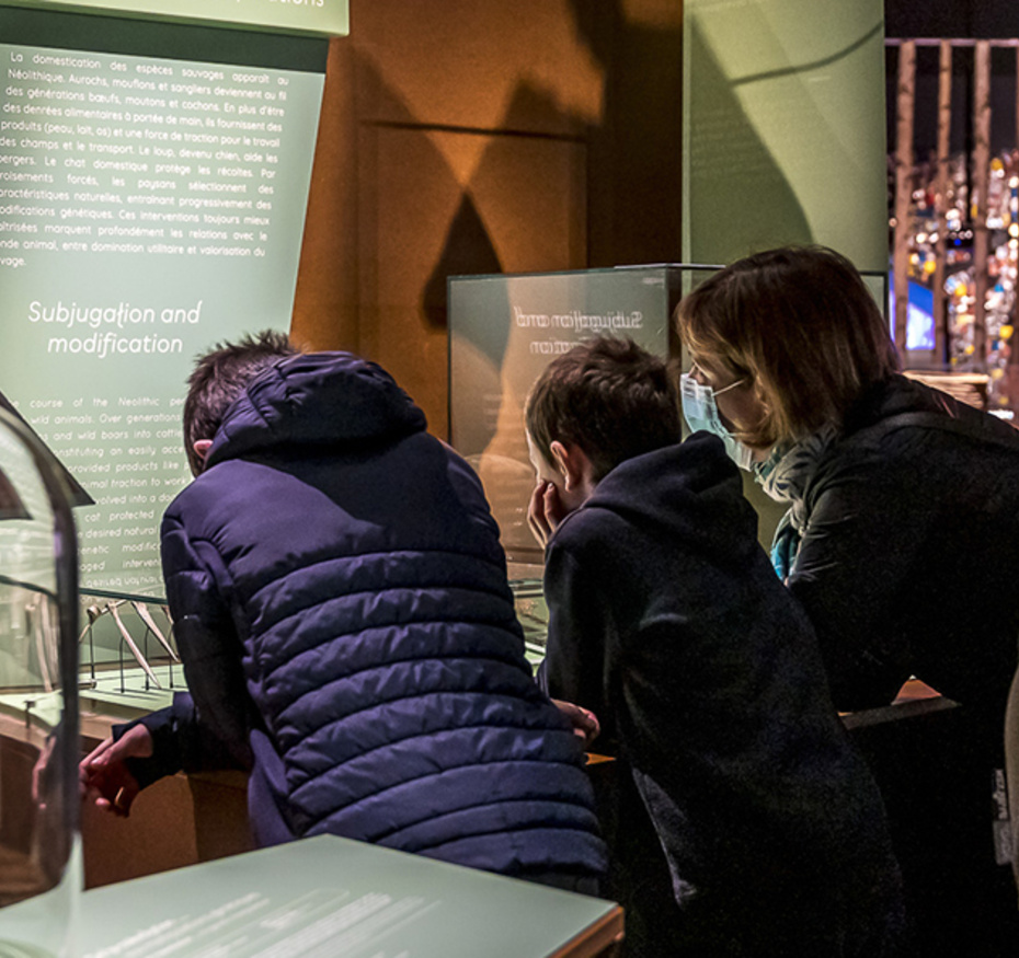 Visite commentée exposition