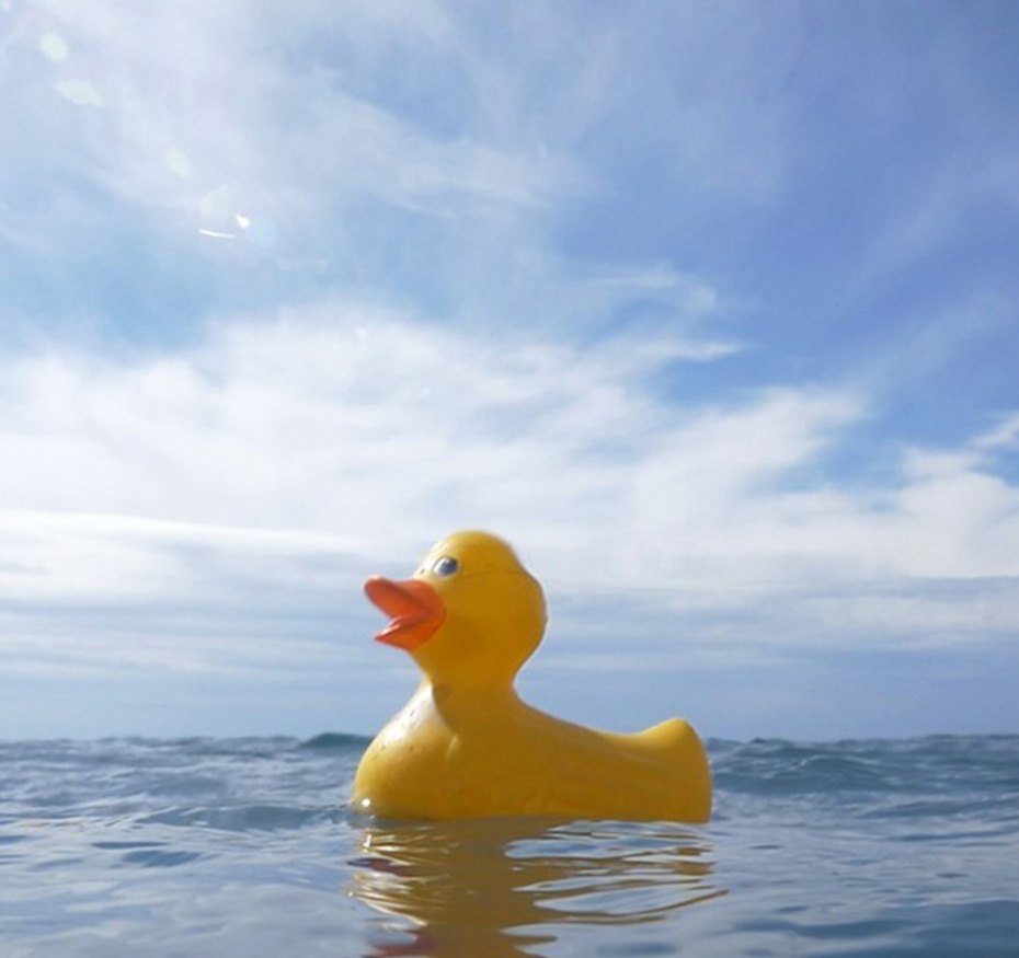 Océans, le mystère plastique
