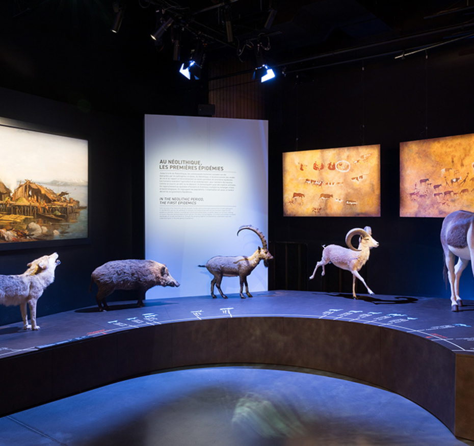 Exposition Épidémies, prendre soin du vivant