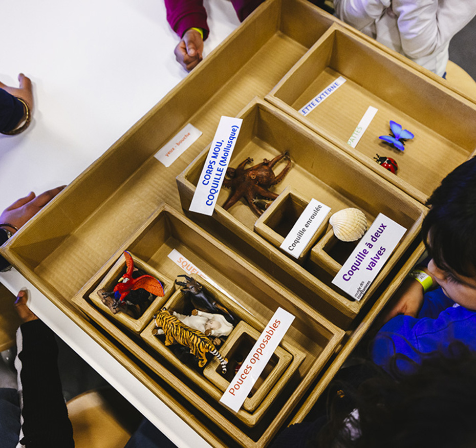 Atelier scolaire Espèce d'espèces 