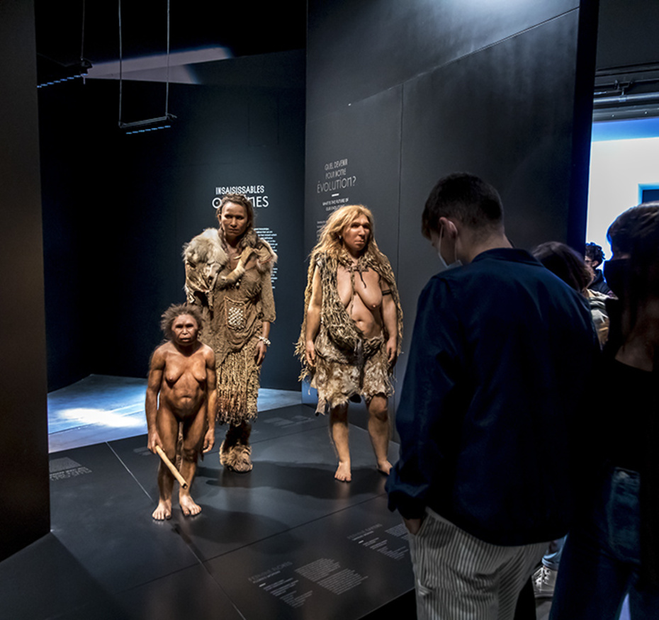 Hominidées, exposition Origines
