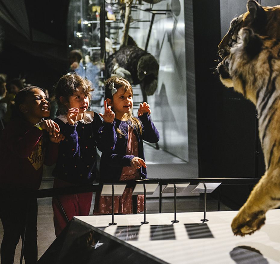 La ronde des animaux