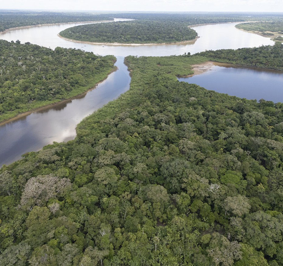 Amazonie