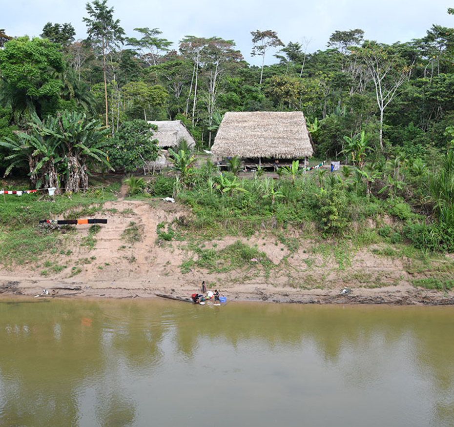 Visite littéraire Amazonies