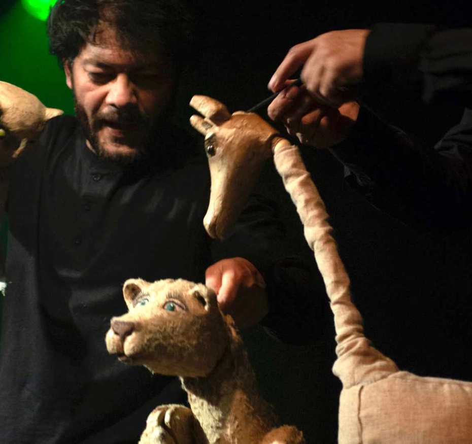 Marjan, le dernier lion d’Afghanistan