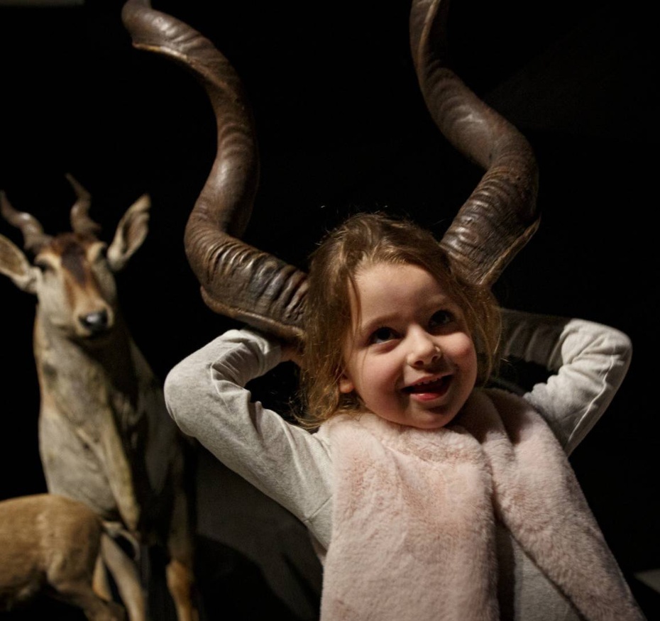 La ronde des animaux