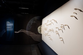 Exposition La Terre en héritage, du Néolithique à nous
