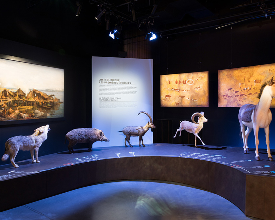 Exposition Épidémies, prendre soin du vivant