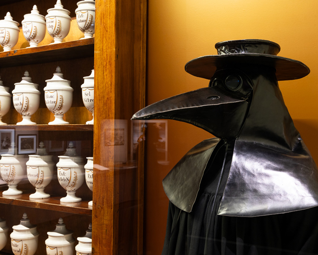 Exposition Épidémies, prendre soin du vivant