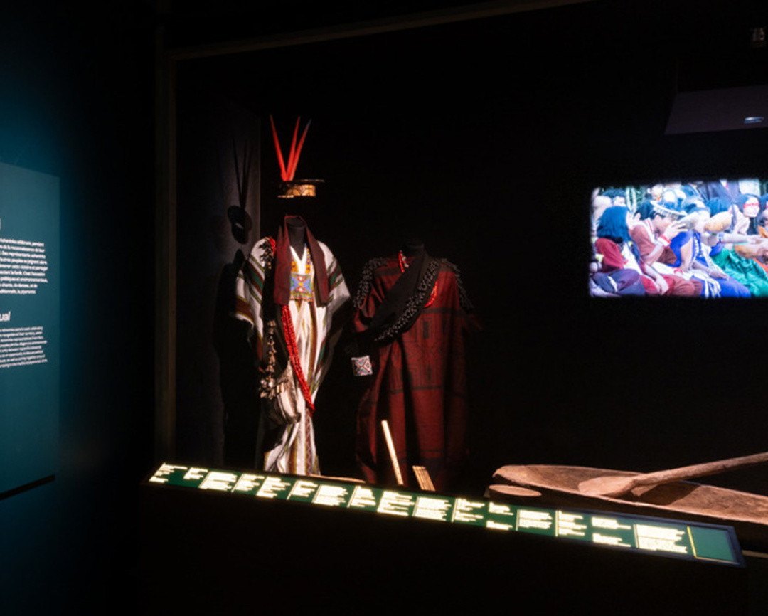 Exposition Amazonies