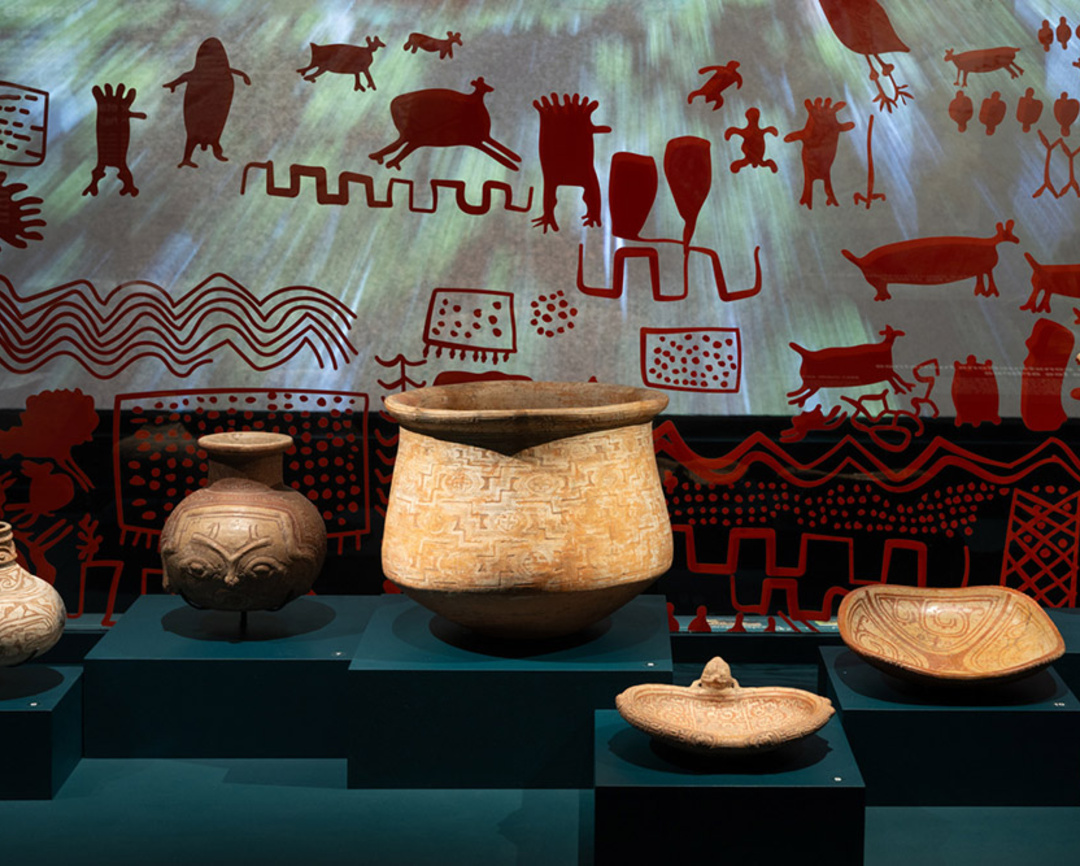 Exposition Amazonies