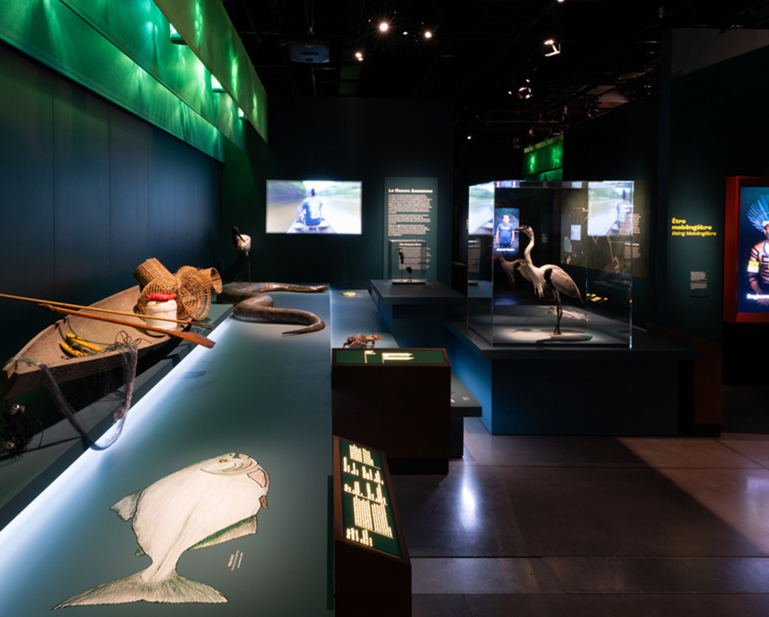 Exposition Amazonies